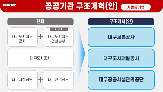 대구시장직 인수위원회가 발표한 4개 지방 공기업 구조개혁 방안. 대구시장직 인수위 제공