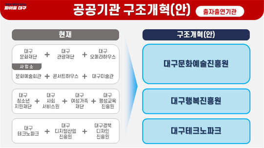 대구시장직 인수위원회가 발표한 14개 출자·출연기관 구조개혁 방안. 대구시장직 인수위 제공