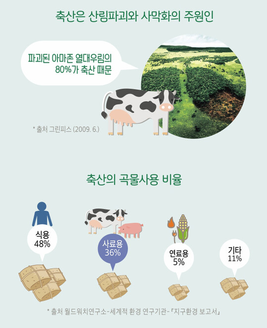 기후행동비건네트워크 제공