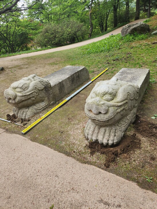 경기도 용인 호암미술관 정원에서 발견된 광화문 월대 앞머리 서수상 2점. 이건희 컬렉션의 일부로 확인됐다. 회색조의 화강암 재료로 만들었는데 뿔이 하나 달렸고 목과 귀에 갈기털 무늬를 새긴 것이 특징이다. 문화재청 제공