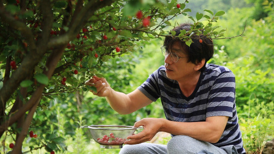 김용규 여우숲생명학교 교장. 사진 여우숲 제공