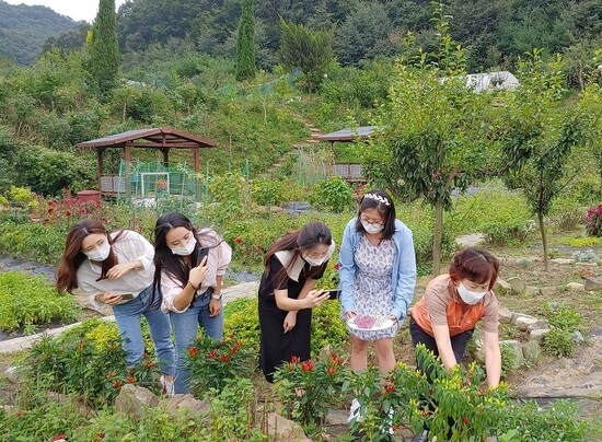 아이와 교사, 마을 주민이 제작한 마을배움터 영상 갈무리. 세종교육청 제공 아이와 교사, 마을 주민이 제작한 마을배움터 영상 갈무리. 세종교육청 제공