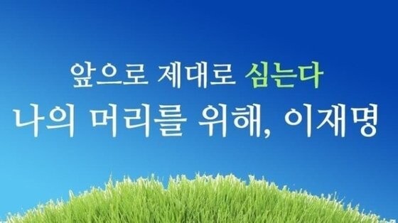 이재명 더불어민주당 대선 후보의 선거 슬로건을 탈모약 건강보험 공약화로 패러디한 이미지. 온라인 커뮤니티 갈무리