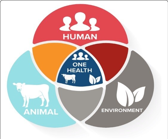 코로나19와 같은 인수공통감염병이 심각한 문제가 되면서, 하나의 건강(One Health)이라는 접근법이 주목을 받고 있다. 인간과 동물, 환경은 서로 연결되어 있기에 각각의 건강함이 서로에게 영향을 준다는 것, 그렇기에 인간의 건강을 위해 동물과 환경 또한 돌봐야 한다는 것이 주요 골자이다. 출처: 논문[11].