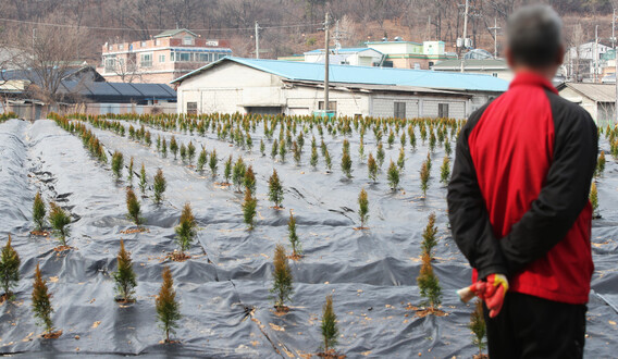 국토부·LH 근무자 1만4천명 전수조사 결과 다음주 발표