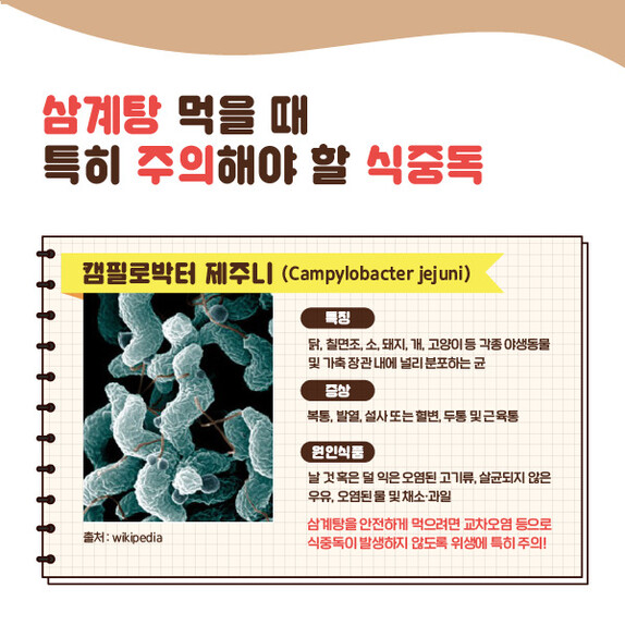 식품의약품안전처 홍보자료. 식약처