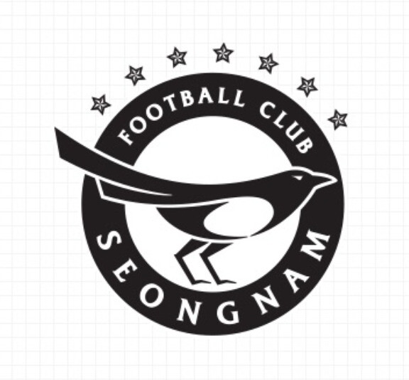 프로축구 성남 엠블럼. 성남FC 누리집 갈무리