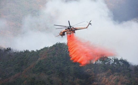 산림당국의 진화 인력이 산불을 진화하고 있다. 산림청 제공