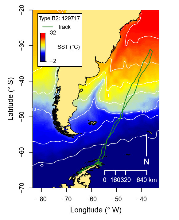 5.5달 동안 남극에서 브라질 앞바다까지 2번 왕복한 범고래의 이동 궤적. 피트먼 외 (2020) ‘해양포유류학’ 제공.