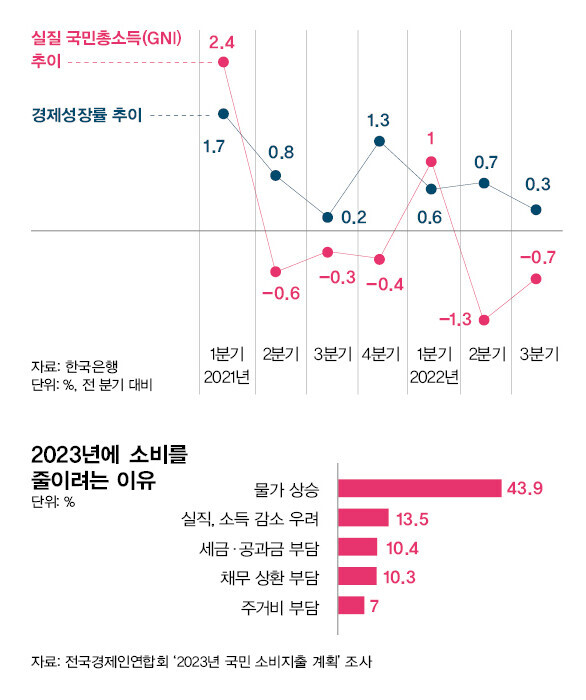 자료: 전국경제인연합회, '2023년 국민 소비지출 계획' 조사