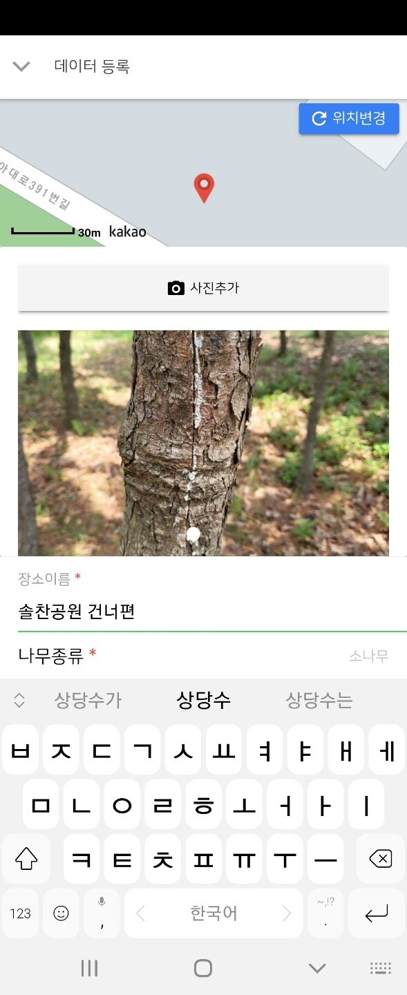 맵 플랫폼인 ‘매플러’ 속 ‘우리동네 가로수지도’ 모임에 기록 중인 나무 모습. 나무 위치와 종류 등을 기록한다. 이 나무는 지주목을 고정하던 끈을 늦게 제거하면서 흔적이 남았다. 이승욱기자