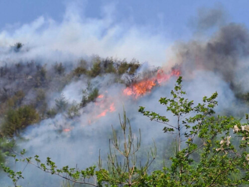 지난달 17일 오전 11시7분 강릉시 강동면 심곡리 한 사격장에서 발생한 산불이 산림 5000㎡를 태우고 3시간여 만에 꺼졌다. 강원도소방본부 제공