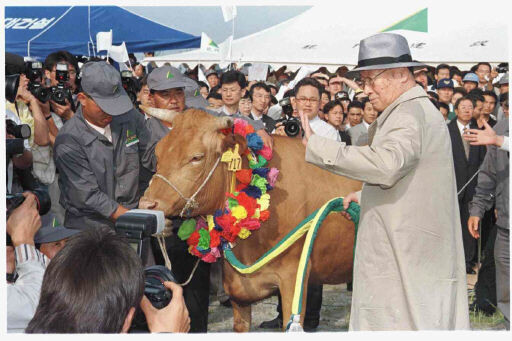 1998년 6월16일 정주영 현대그룹 명예회장은 500마리의 ‘통일소’와 함께 방북해, 1989년 북쪽과 맺은 의정서를 근거로 ‘금강산 관광을 위한 계약서’를 새로 썼다. &lt;한겨레&gt; 자료사진