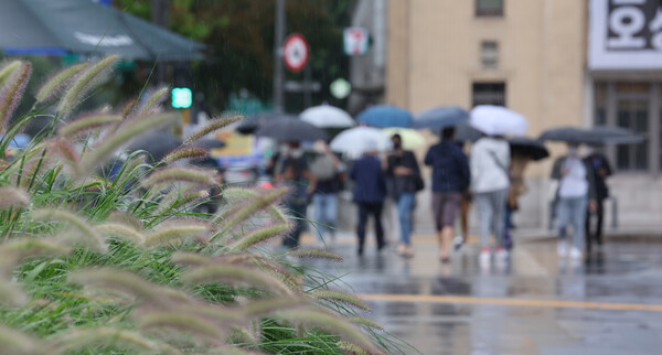 30일 서울 광화문사거리 인근에 핀 수크령 너머 우산을 쓴 시민이 발걸음을 옮기고 있다. 연합뉴스