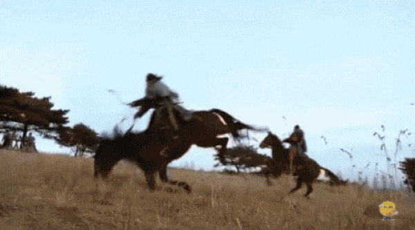 2014년 드라마 ‘정도전’에서 두 마리의 말이 달려오다가 고꾸라지는 장면. KBS 화면 갈무리