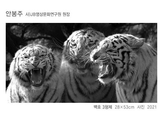 사진기자 출신인 안봉주 JB영상문화연구원장의 작품. 연석산미술관 제공