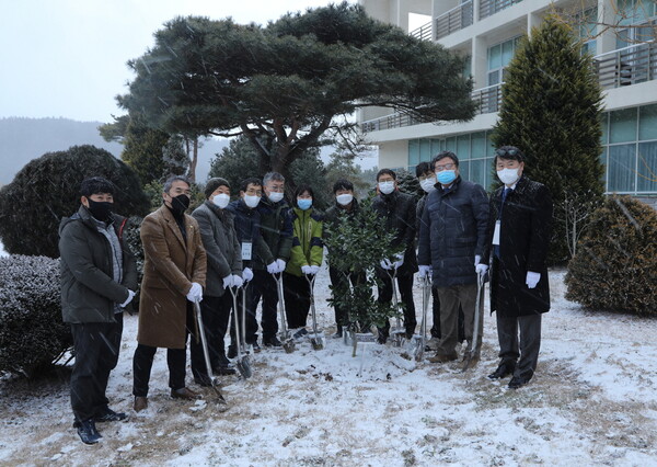 지난 12월17일 김용식 천리포수목원 원장, 김무열 명예교수 등 한국홀리협회 관계자들이 재창립 기념으로 심포지엄을 연 뒤 수목원 내 에코힐링센터 정원에 완도호랑가시나무 ‘페리스 드림’을 심었다. 완도호랑가시나무는 1978년 민병갈 설립자가 최초로 발견한 한국특산 자생종이다. 천리포수목원 제공