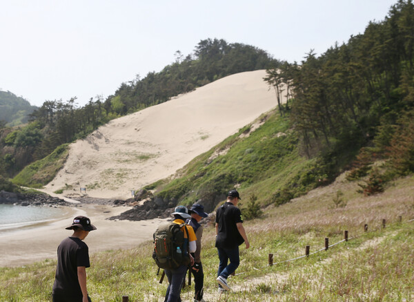 돈목해변 옆에 난 산책길. 이 길을 따라 올라가면 풍성사구를 구경할 수 있는 곳에 도착한다. 박미향 기자