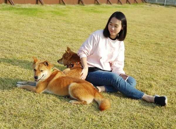 반려견 ‘정선이’는 강원도에서 구조된 유기견으로 임시보호을 하다 가족이 되었다. 권유림 제공