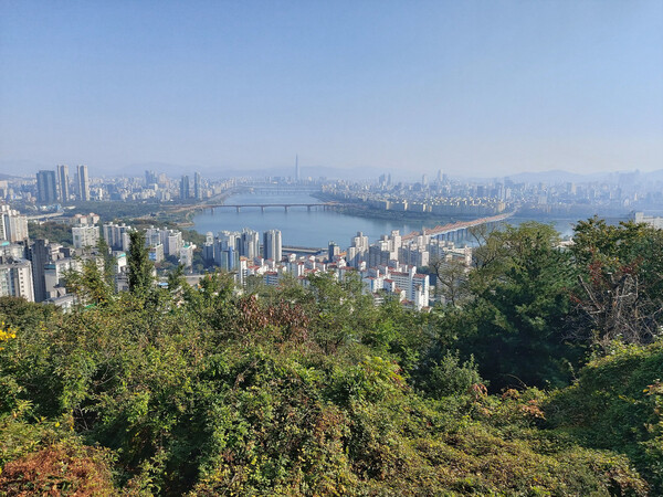 매봉산 정상 팔각정에서 본 풍경. 김선식 기자