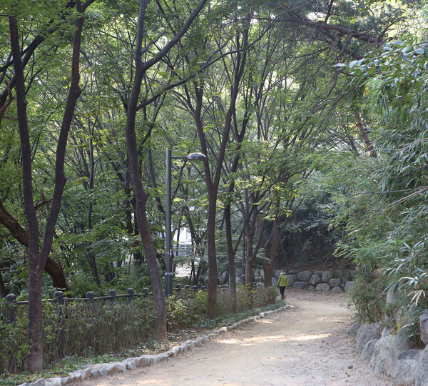 서울 동작구 본동 ‘고구동산’ 산책길. 김선식 기자