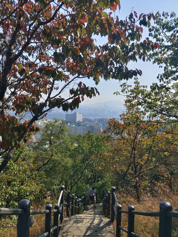 지난 20일, 서울 용산구·중구·성동구 경계에 있는 매봉산 팔각정 근처 옥수동으로 내려가는 길. 김선식 기자