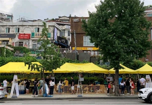 지난해 현장 사진. 용산구 제공