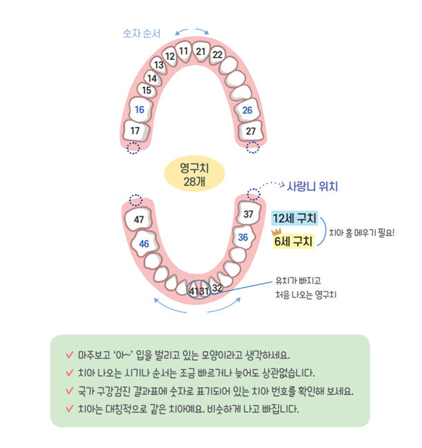 김선이 작가 책 &lt;오늘도 이 닦으며 천만 원 법니다&gt;에서 발췌. 넥서스 제공