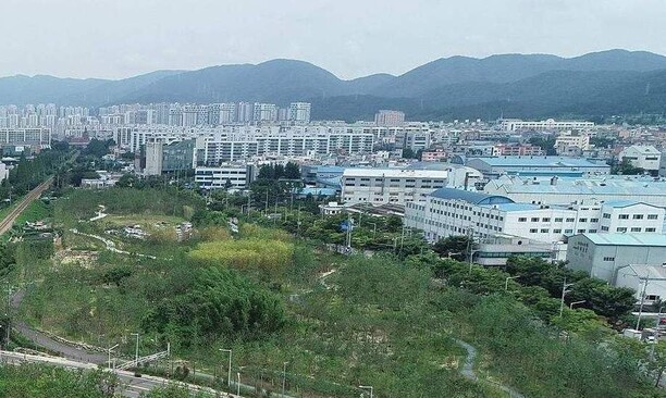 울산미포지구 미세먼지 차단 숲 전경. 오른쪽 인근에 산업단지가 있다.