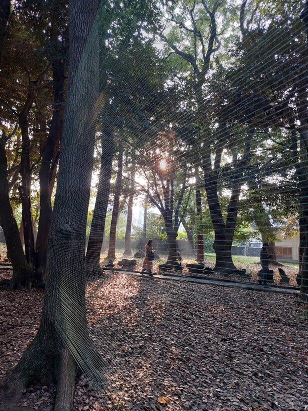 제주로 거처를 옮겨 작업해온 신예선 작가가 내놓은 설치작품 신작 &lt;움직이는 정원&gt;. 삼성혈 주위에 있는 녹나무, 곰솔 등 숲속 나무들 사이로 색색의 비단실을 여기저기 감아 신비스러운 시간의 그물을 빚어냈다. 나무들이 삼성혈을 지켜온 세월을 담아내기 위해 빛이 스며들어 색감이 바뀌고 바람이 넘나들며 나풀거리는 작품을 만들었다.