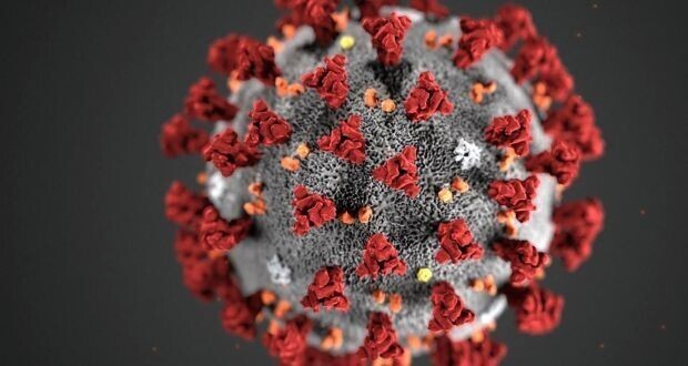 미국 질병통제센터(CDC)가 공개한 코로나19 바이러스 모형. AFP 연합뉴스
