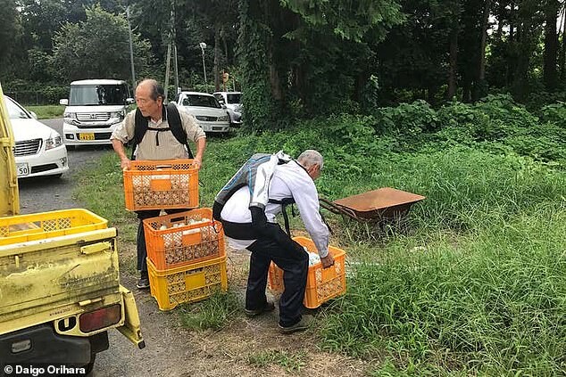 일본 이노피스가 개발한 에브리 머슬 수트를 착용하고 무거운 짐을 들어올리는 일본의 고령 노동자. 이노피스 제공