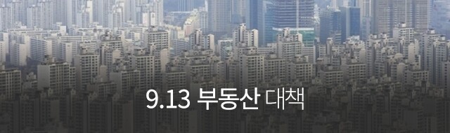 9.13 부동산대책