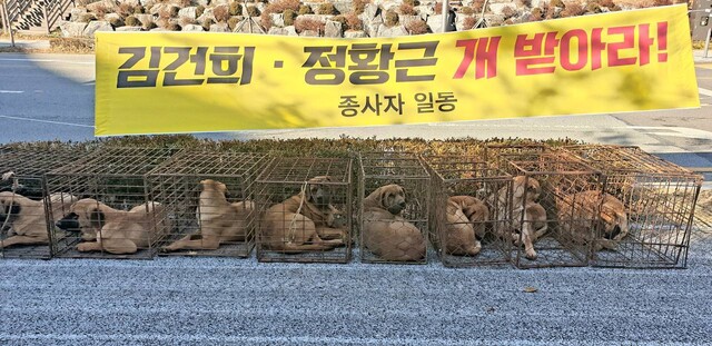 30일 육견협회가 정부세종청사 앞에 개를 놓아두고 ‘개 식용 금지법’ 반대 목소리를 냈다. 동물권행동 카라 제공