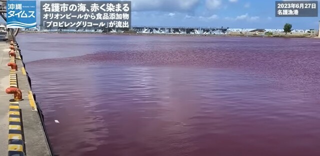 27일 일본 오키나와에 있는 맥주 공장에서 냉각수가 유출돼 인근 바다가 붉게 물들어 있다. ＜오키나와타임즈＞ 유튜브 채널 갈무리