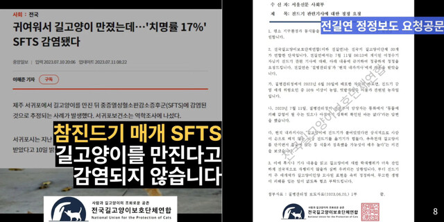 전국길고양이보호단체연합 제공