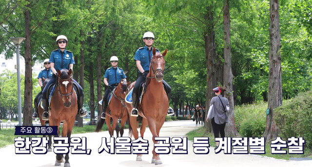 경찰 홍보, 공원 순찰 등의 임무를 해온 경찰기마대에서 퇴역한 말들의 관리가 제대로 이뤄지지 않고 있다는 지적이 나왔다. 서울경찰 유튜브 갈무리