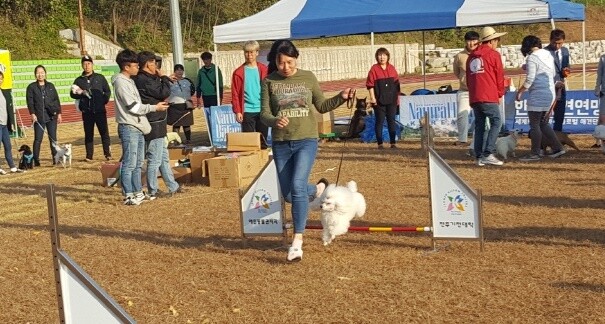 지난해 열린 전북 익산 반려동물 문화축제의 모습. 익산시 제공