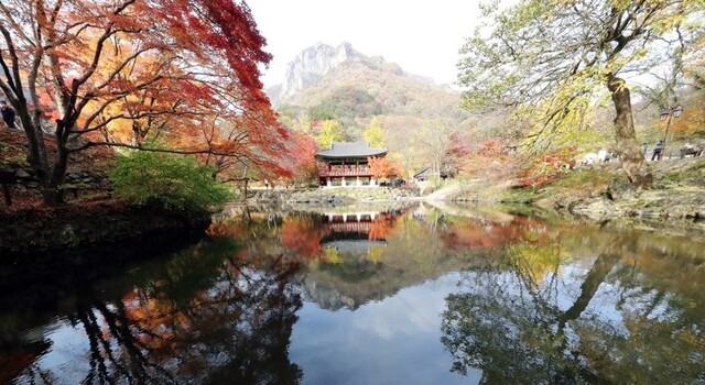 단풍이 든 백암산의 모습. 연합뉴스