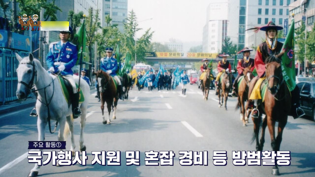 경찰 홍보, 공원 순찰 등의 임무를 해온 경찰기마대에서 퇴역한 말들의 관리가 제대로 이뤄지지 않고 있다는 지적이 나왔다. 서울경찰 유튜브 갈무리