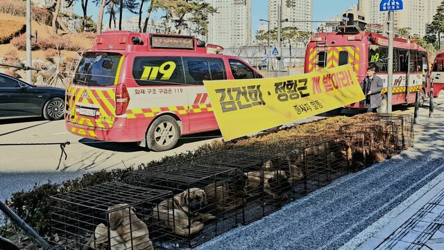 30일 육견협회가 정부세종청사 앞에 개를 놓아두고 ‘개 식용 금지법’ 반대 목소리를 냈다. 동물권행동 카라 제공