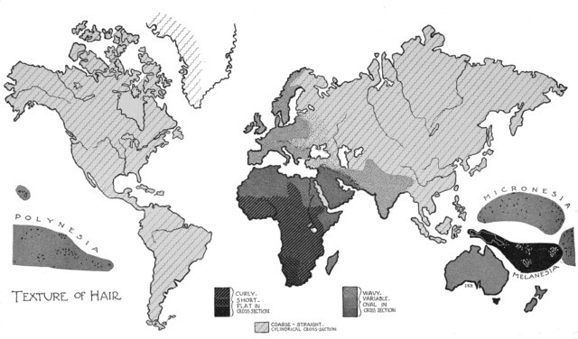 원주민의 머리카락 형태의 분포를 보여주는 지도로 현생인류의 고향인 사하라사막 이남 아프리카는 여전히 심한 곱슬머리(curly)이고 동아시아와 북미, 남미는 직모(straight)이고 유럽과 서남아시아는 약한 곱슬머리(wave)이다. 최근 마네킹 가발 실험 결과 강한 햇빛의 열을 차단하는 데 심한 곱슬머리가 가장 뛰어난 것으로 밝혀졌다. 위키피디아 제공