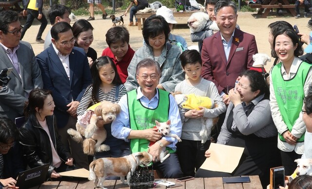 문재인 대통령이 2017년 4월15일 대선후보 시절, 서울 상암월드컵공원 반려견 놀이터에서 반려동물 정책을 이야기하던 모습. 연합뉴스