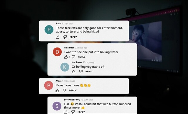 영국 비비시 방송이 유튜브, 텔레그램 등에서 원숭이 학대 영상물을 제작 유포하는 국제적인 네트워크를 폭로했다. 텔레그램 단톡방에 참가한 사람들은 원숭이 학대 방식 등을 투표로 정하고 영상물을 구매했다. ＜비비시＞(BBC) 누리집 갈무리