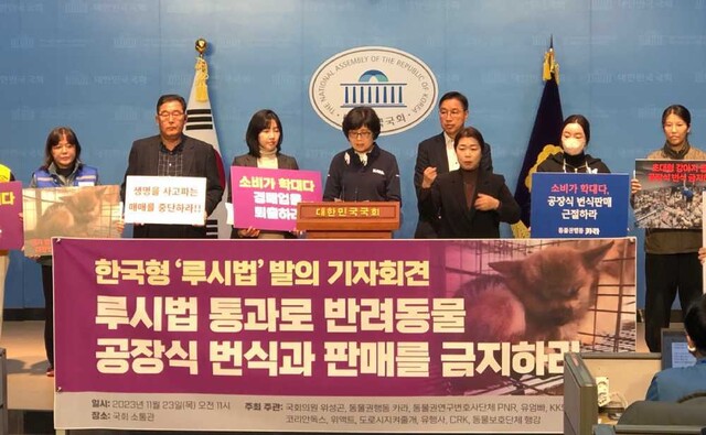 더불어민주당 위성곤 의원과 동물단체들이 23일 오전 서울 여의도 국회 소통관에서 ‘루시법’ 발의와 관련한 기자회견을 열고 있다. 카라 제공
