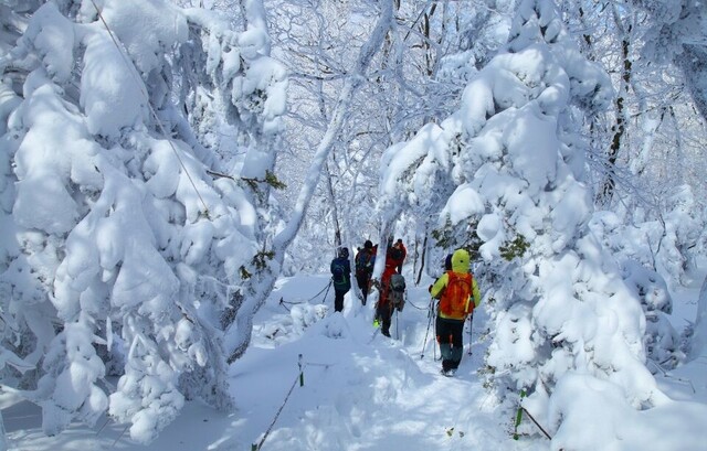 한라산 등산에 나선 등산객들.