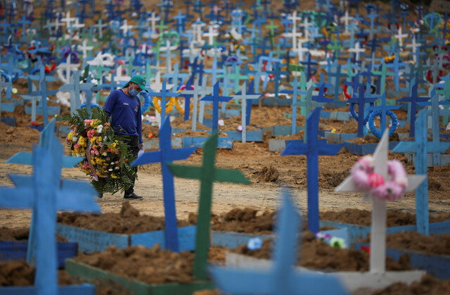 코로나19로 숨진 사람들의 묘가 빽빽이 들어서 있는 브라질 마나우스의 한 공동묘지에서 11일(현지시각) 관리인이 조화를 들고 가고 있다. 로이터 연합뉴스