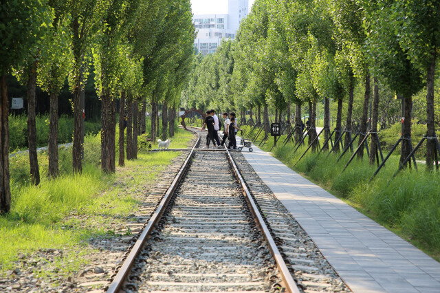 경춘선숲길. 한겨레DB