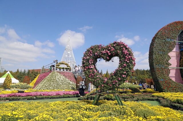 코로나19가 창궐하기 1년 전인 2019년에 개최된 천만송이 국화축제의 모습. 익산시 제공