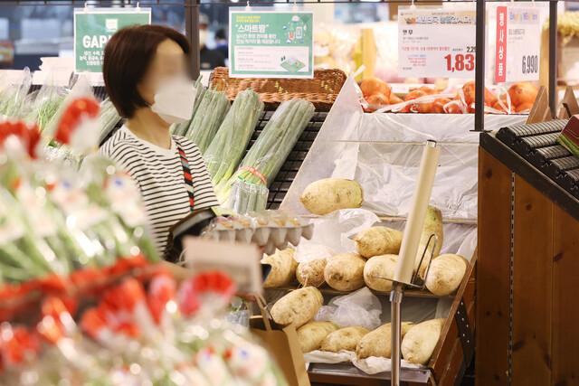 대형마트 영업 규제 완화에 관한 논의에 불이 붙었다. 2일 서울 한 대형마트 채소 판매대에서 한 소비자가 장을 보고 있다. 연합뉴스